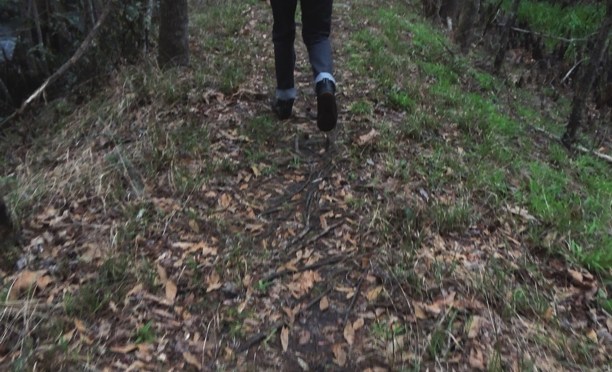 The Pilgrim’s Thought