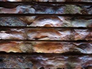 Beauty in Decay - Study #2